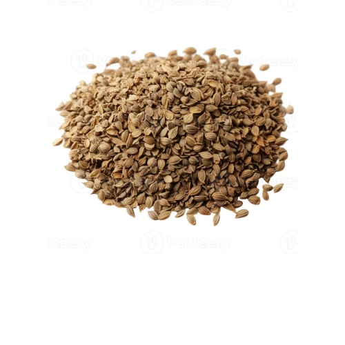 Indian ajwain carom seeds for export and spice trading