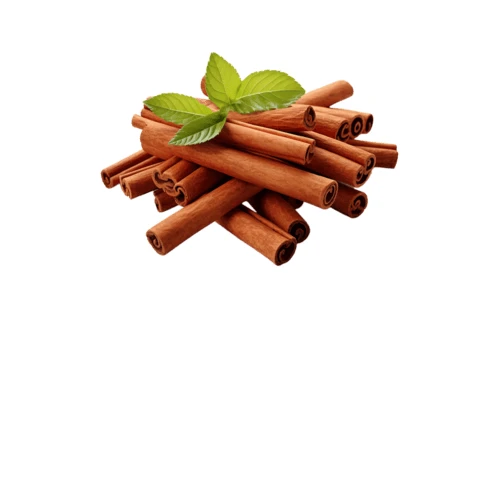 Indian cinnamon sticks and quills for global export