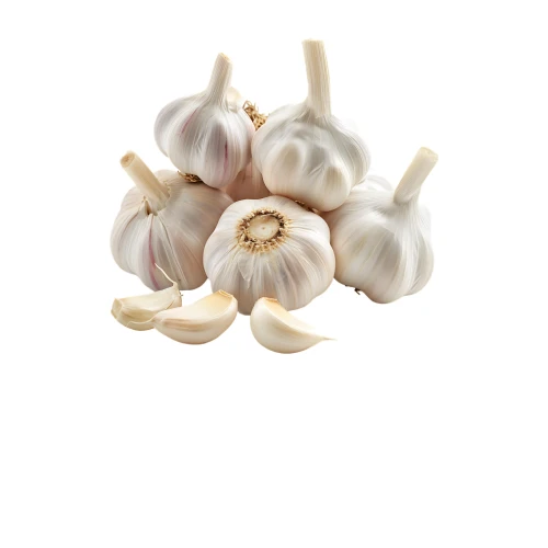 Dehydrated Indian garlic flakes for export and food industry